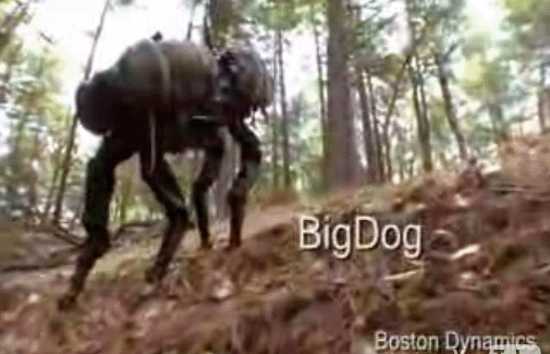 Big Dog dans les bois