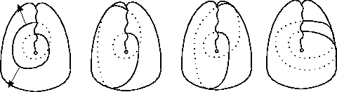 \includegraphics{projhuit.eps}