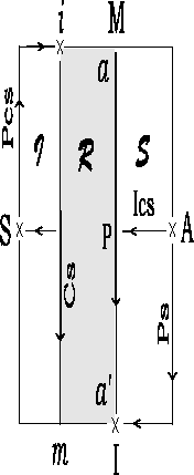 \includegraphics{f-tourn1.eps}