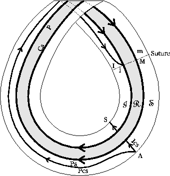 \includegraphics{moeb-f.eps}