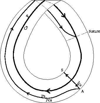 \includegraphics{moeb-l.eps}